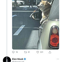 �����ұ��ˣ�һ�ȱ���40%����˹�ˡ����ϡ���������ƭ��