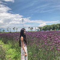 ���оŸ��¹����ˣ����괺�ڲ������̴�һ���ؼ���---����