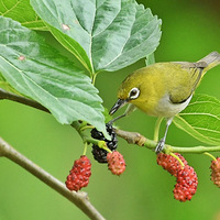 ͣˮͨ�棡���죬������Щ�ط���ͣˮ��ѹ��ˮ������ǰ����׼��