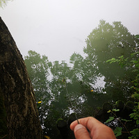 С��СϺС�ջ�