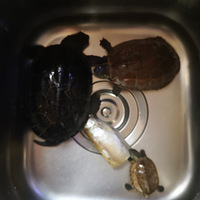 �ص��ҵ�����