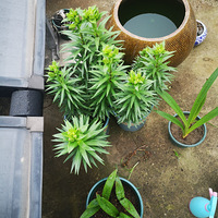 ��һ���湻æ��