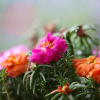 ��·������ɽ����վҪ���ˣ� �ƻ�����׿������裬2025�꽨