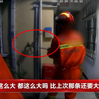 ��ʲô����������ͷ�ϣ�����������̧ͷһ�����ŵ�������