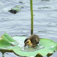 ȫ��������Ʒ��Ǹ��������������������