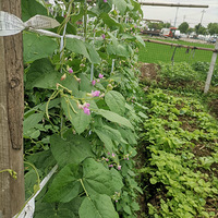 ���ȷ���[����][����]