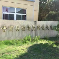 ��ι��110���ҳ���200���Ұ��ײ�ˣ�����Ҫ���⳥�𣿡�