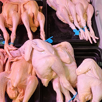 �����Ӽ�