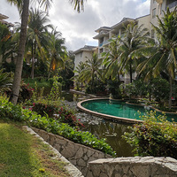 �����������ͦ�¶�