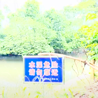 ����԰����Ա���ϻ������������������ϻ���20����������