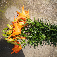 �ջ������ϡ�