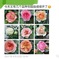 ��Ϊ����һ�䡰ϲ�����������������3��ʱ������̨������70��