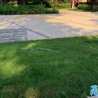 ס�ں��ݷ���8��/ƽ��С��������ȴ��Ϊ��λ������֮�͡����ҳ�