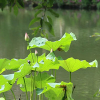 ���ݶ����������ĩ����ʱ����������