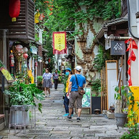 ޱ櫹�����˾��������������