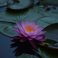 ����й�⣡�������ѱ����ƣ��������