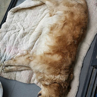 ����һС��һ�������ﱻ������7������Ͷ����ΪͬС���ھӣ���˵