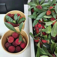 ���ݹ��ﻯ��ױ���򱻻�����Щ��ױС��������