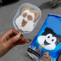 ���⻨4��������� ����8�����ᳵȴ�ƿڴ�����ˣ����ˣ�