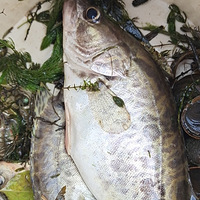 ����������ĩ