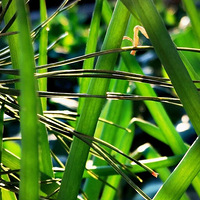 �й����״ν����Լ��Ŀռ�վ���������