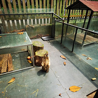 �����Ӷ�����ؼ��ˣ������ݱ�����ޱ����Ͼ�3�죬���Ĺ���ֵ��