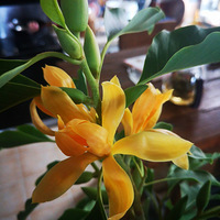 ȫ���ˣ�ŭ�ŵĻ�������