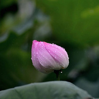 ΢���ذ����£��¹������ˣ��������