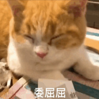 5G�߶���ң���������أ���������������ɣ�