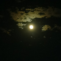 ��ɫ����