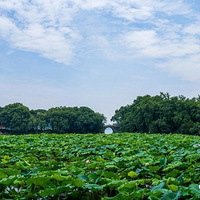 ������ᡢ���й�ͬ�ƶ�����ʷ�������Ҫ���ˣ��������