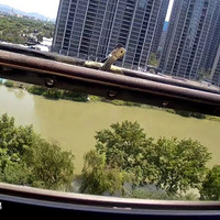 ����һС����̨ͻȻ��𣬼�ط��ֿ�����Ӱ��