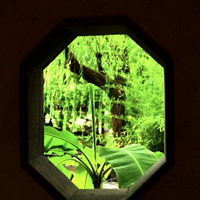 ��ʽ԰���е��Ŵ���ƣ������Ǿ���