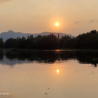 Ϧ�����£�ơ�ƿ�Ѽ