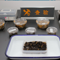 ������ʴ����ֱ���Ǯ�����������