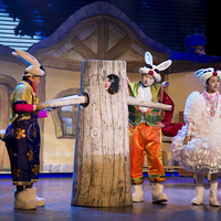 59.9Ԫ��ٴ��޴򿨡�С��ñ����ͯ�磺һ���ܴ���ǣ�