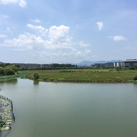 36��ʪ�ȡ�������������Σ����˾���