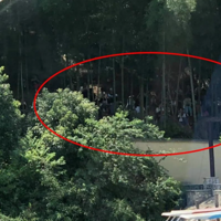 ��˿����Ȱ���㽭һɽ��׷�ǣ��������ֱ������Ⱦ����ǡ���