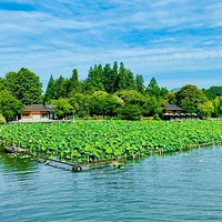 �Ȼ��ˣ��㽭38�ط������³�ɫԤ�������ݽ�����Ҫ�嵽40��C