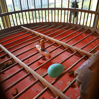 ����������Ҳ���