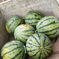 ����һ�����������¶�����~��й�¶�