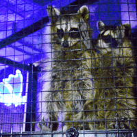 29.9����Ϫʪ�ظ���������ڶ���԰��0����ߣС����̫�ɰ�