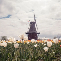 ��ѧ�³�������ЩС���Ҹ��Լ۱ȵ���ѧ�����˽�һ�¡�