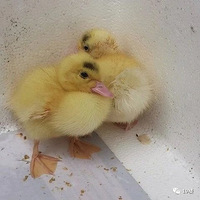 �㽭�к��������ڣ����׼���ý����ƴ������ѳ�����