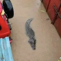 ���㡢���㶼�ܳ����ˣ���