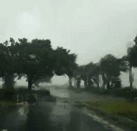 ̨�籩�꼾��ݡ����ݷ�ˮ��ȫָ�ϡ�������գ�