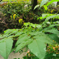 ����̨����ѡ���������