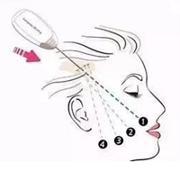 ����ƪ|�ƽ��ߵ񵰰�����Ч�𣬻ƽ��ߵ����ά�ֶ��