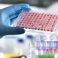 �������������������֬���������Ŀ����������~