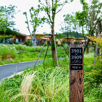 ���뺼��һСʱ�ĵ���ɭ������������������޵�